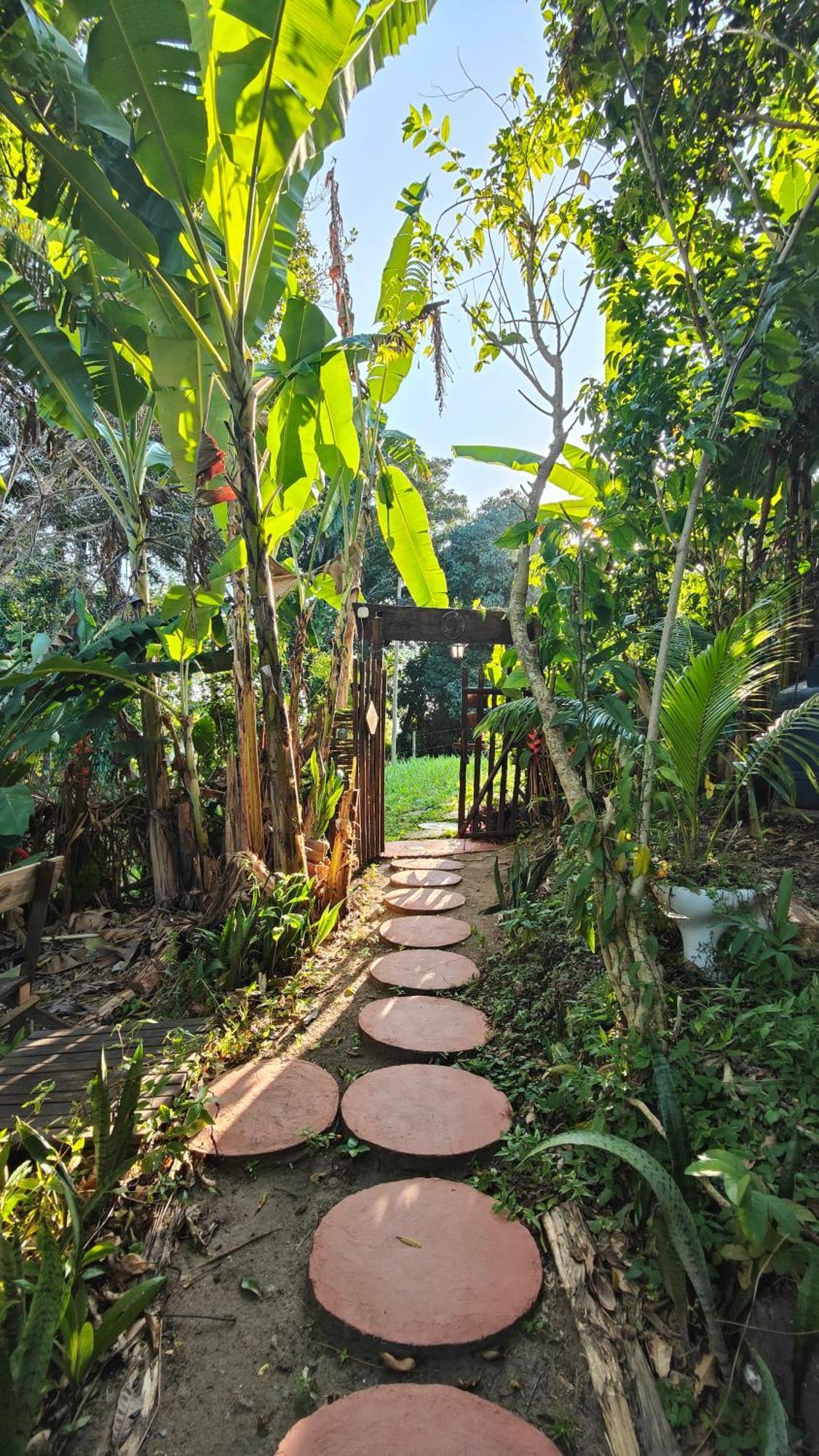 Eco Hostel Bosque Di Barro Velha Boipeba Exterior foto